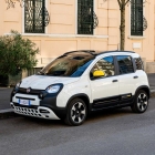 Panda1